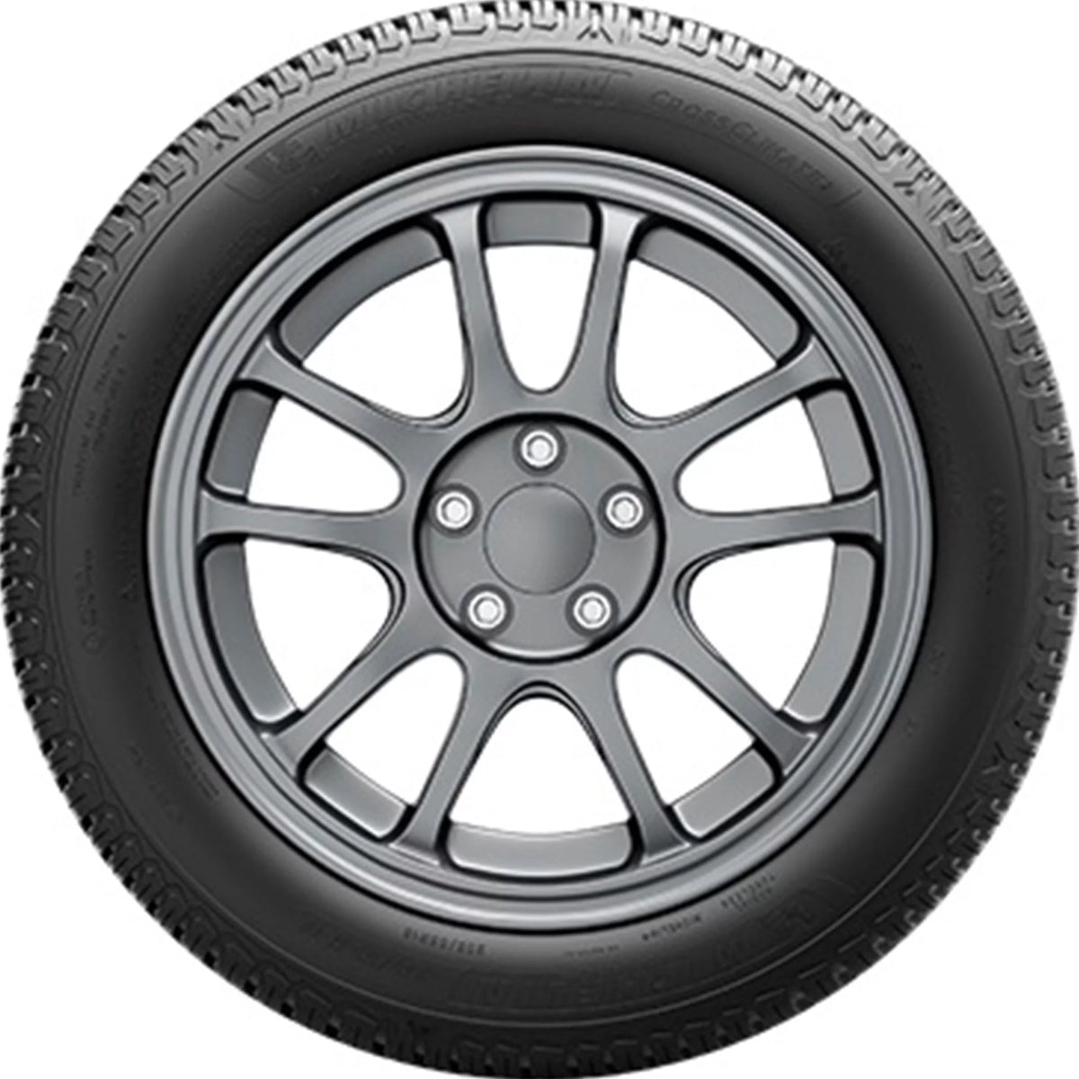 All Weather 205/55R16 91V Tire V694621