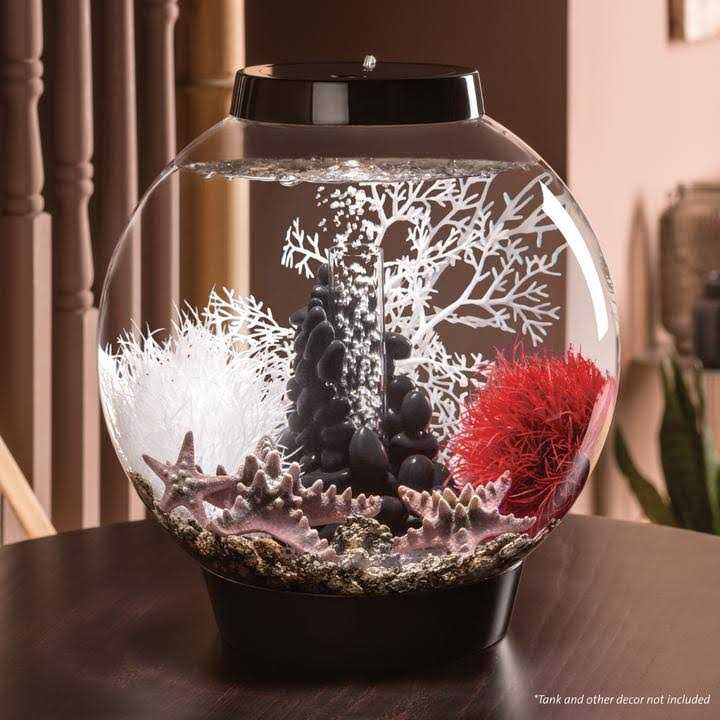 60 Aquarium with LED F767