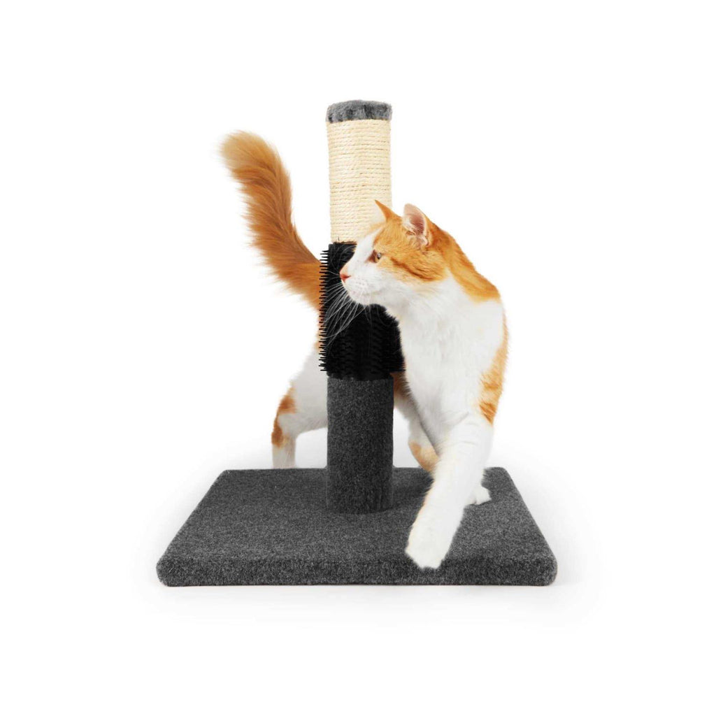 Cat Scratch Post Y40909