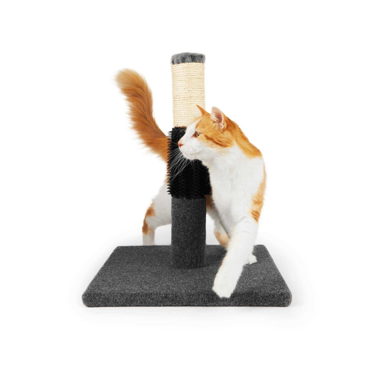Cat Scratch Post Y40909