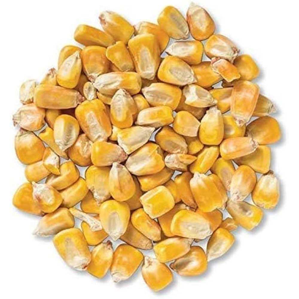 Whole Corn for Wildlife Feeding N1066