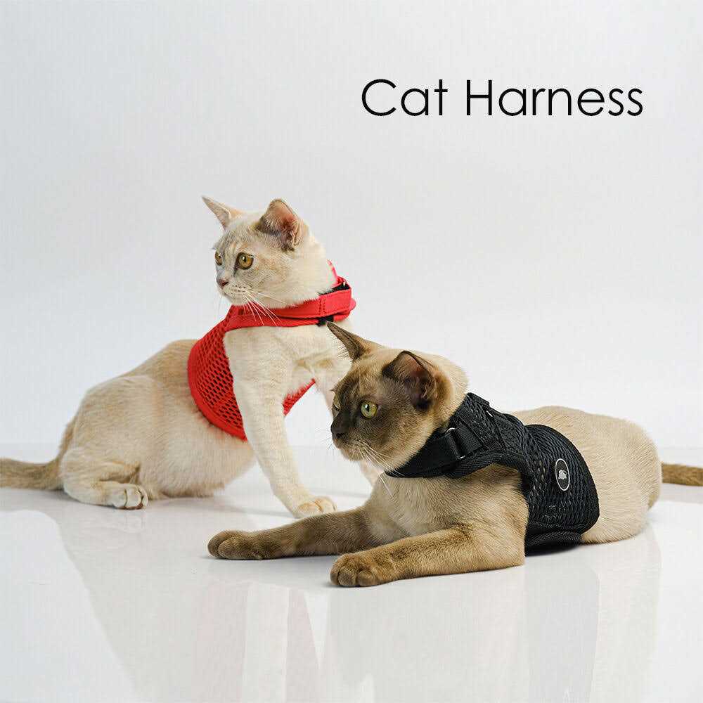 Cat Harness D1496