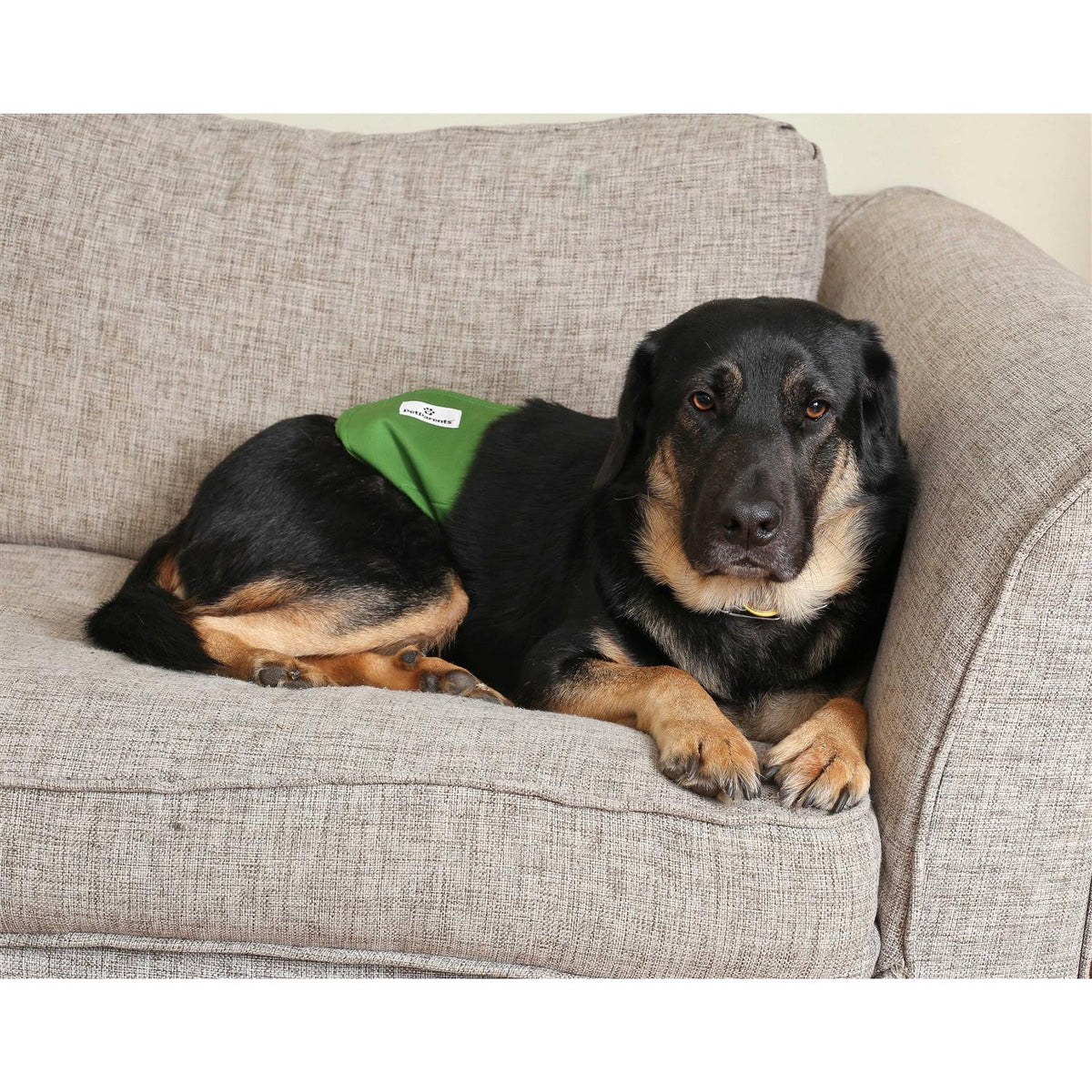 Washable Dog Belly Bands K2942