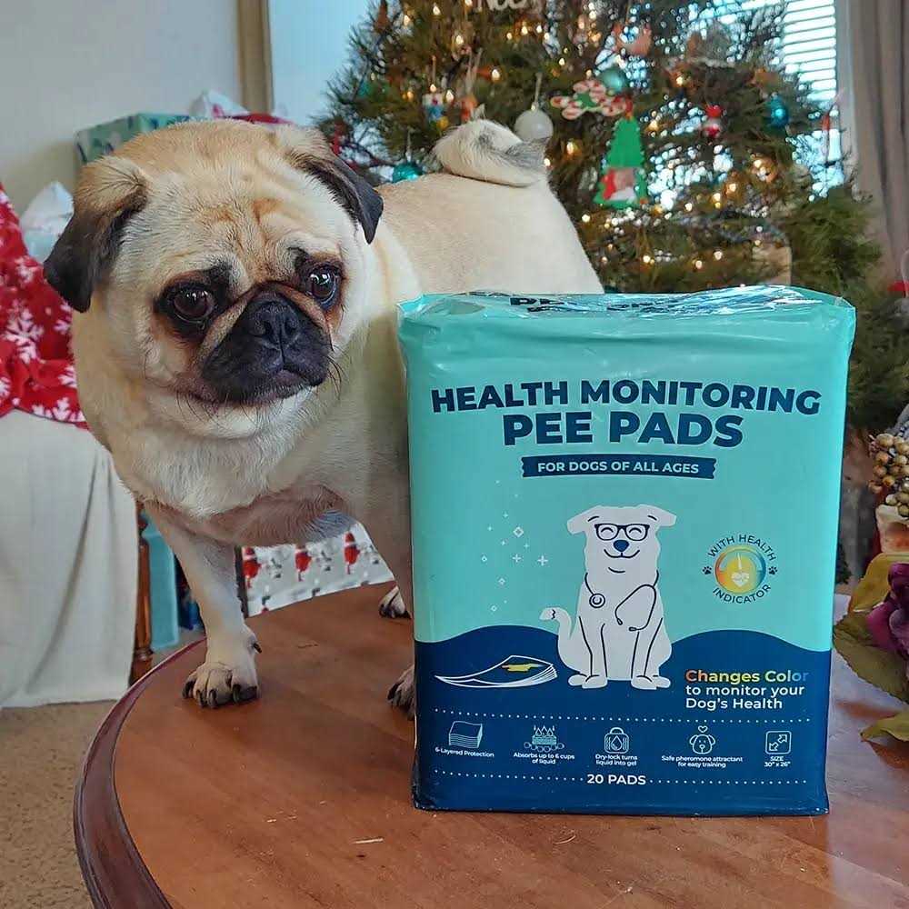 Health Monitoring Pee Pads Y12686