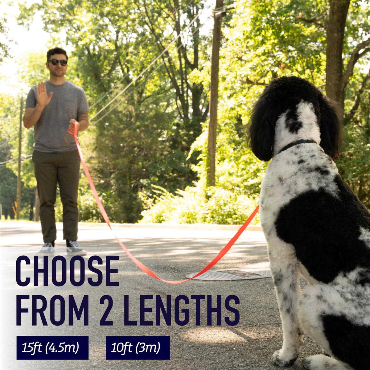 10 Foot Dog Leash with Padded Handle W247845