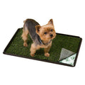 Indoor Turf Dog Potty Y985