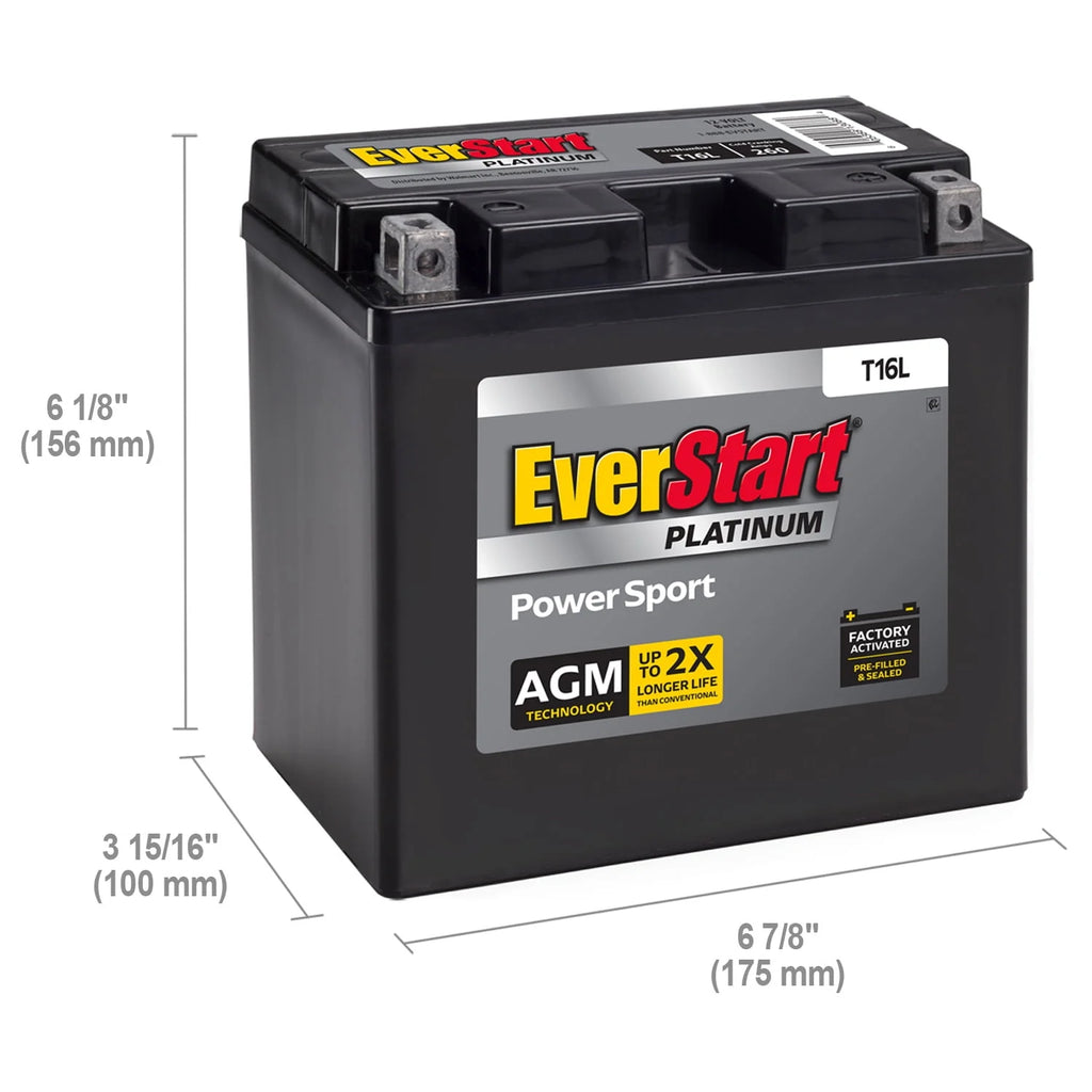 AGM Power Sport Battery Group Size T16L 12 Volt 260 CCA Y752550