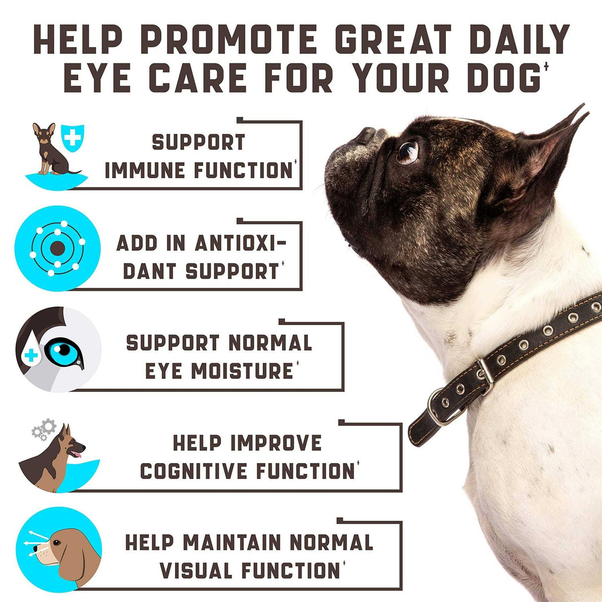 Dog Eye Vitamins Supplement W22337