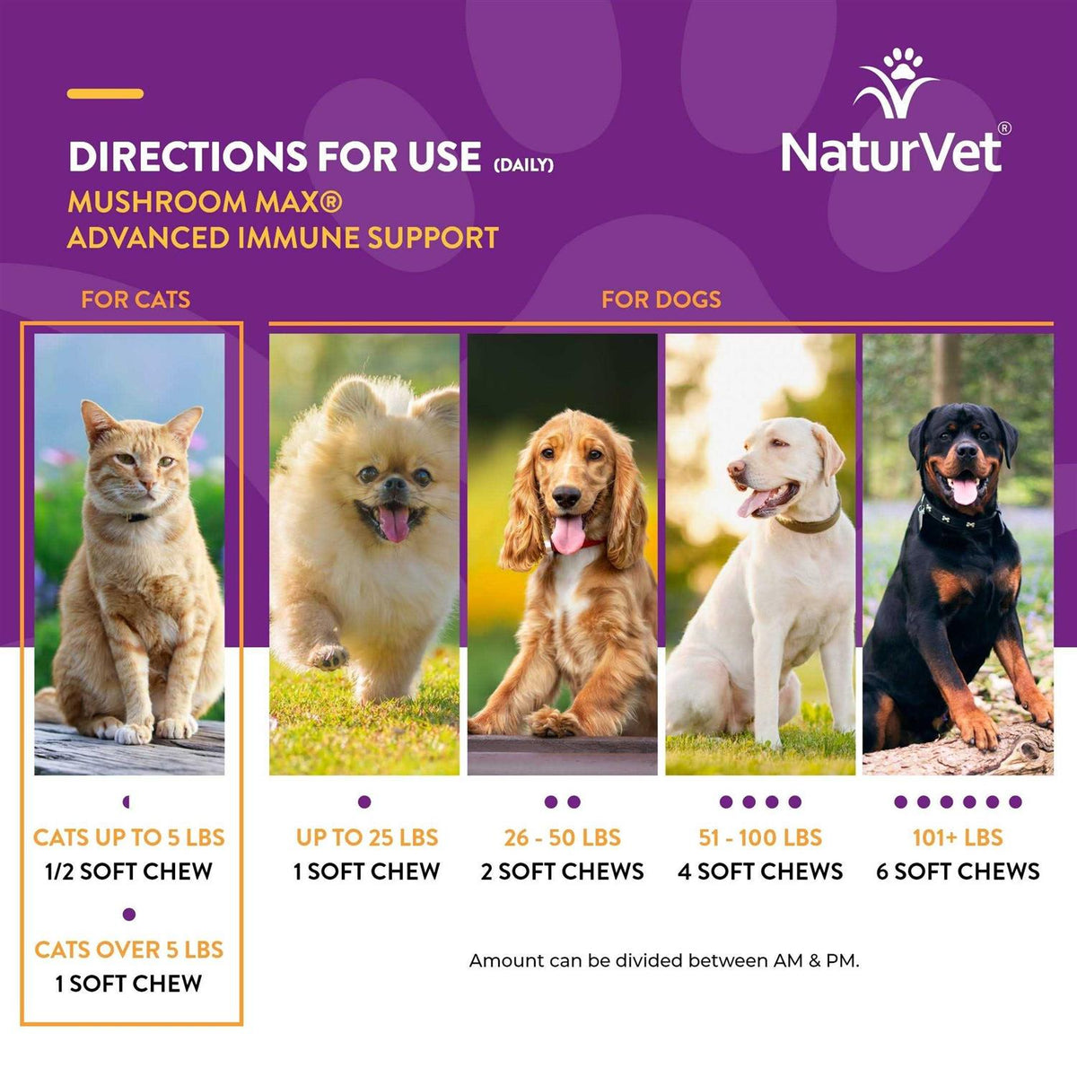 Mushroom Max Immune Support Soft Chews for Dogs & Cats G7109