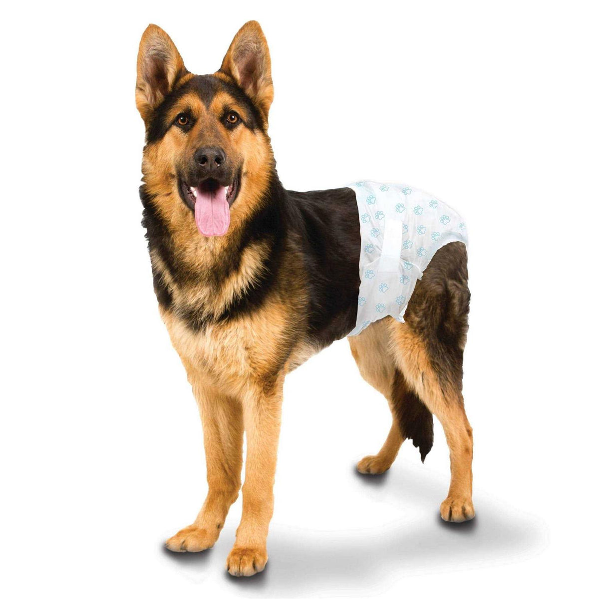 Disposable Diapers C833281