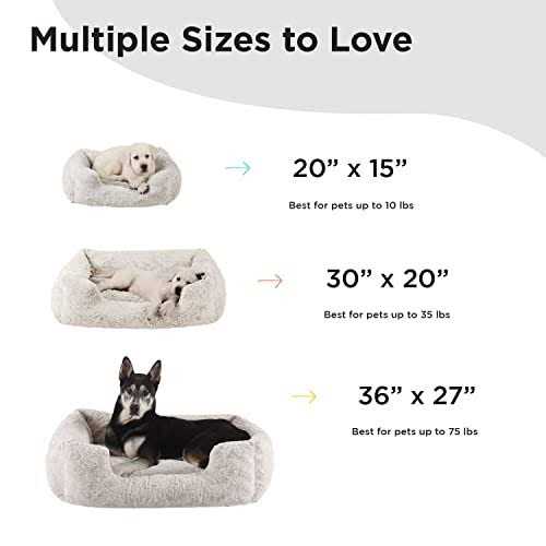 Rectangular Dog Bed C1551