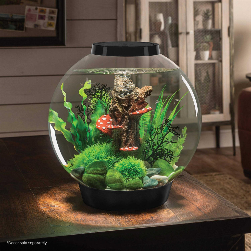 60 Aquarium with LED F767