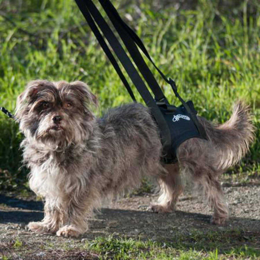 Support Harness W60700