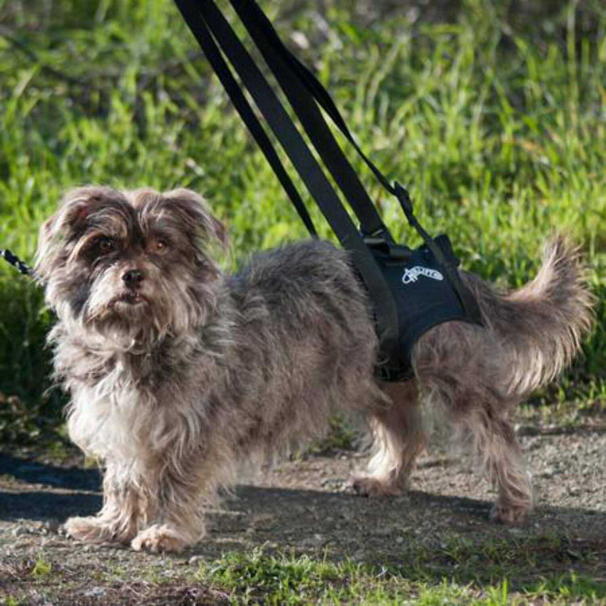 Support Harness W60700