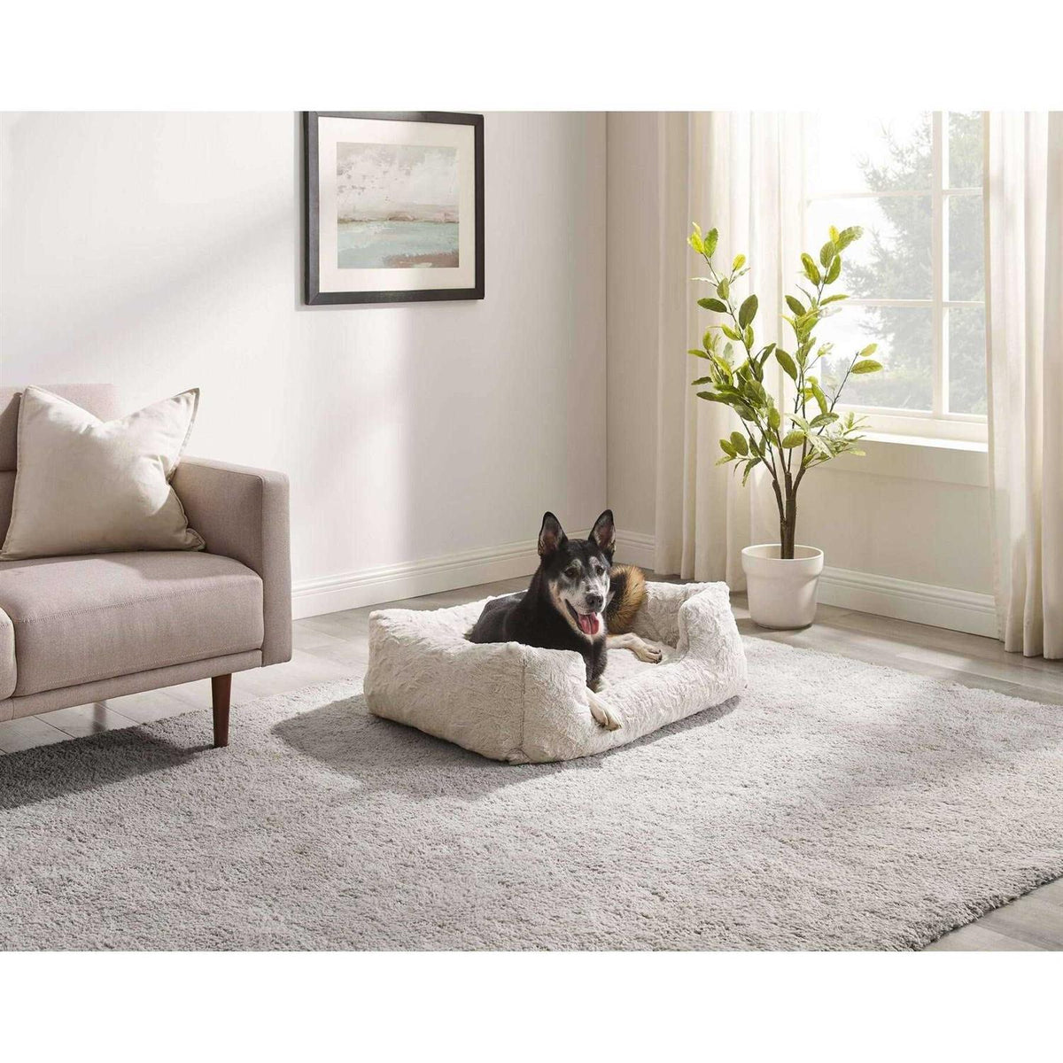 Rectangular Dog Bed C1551