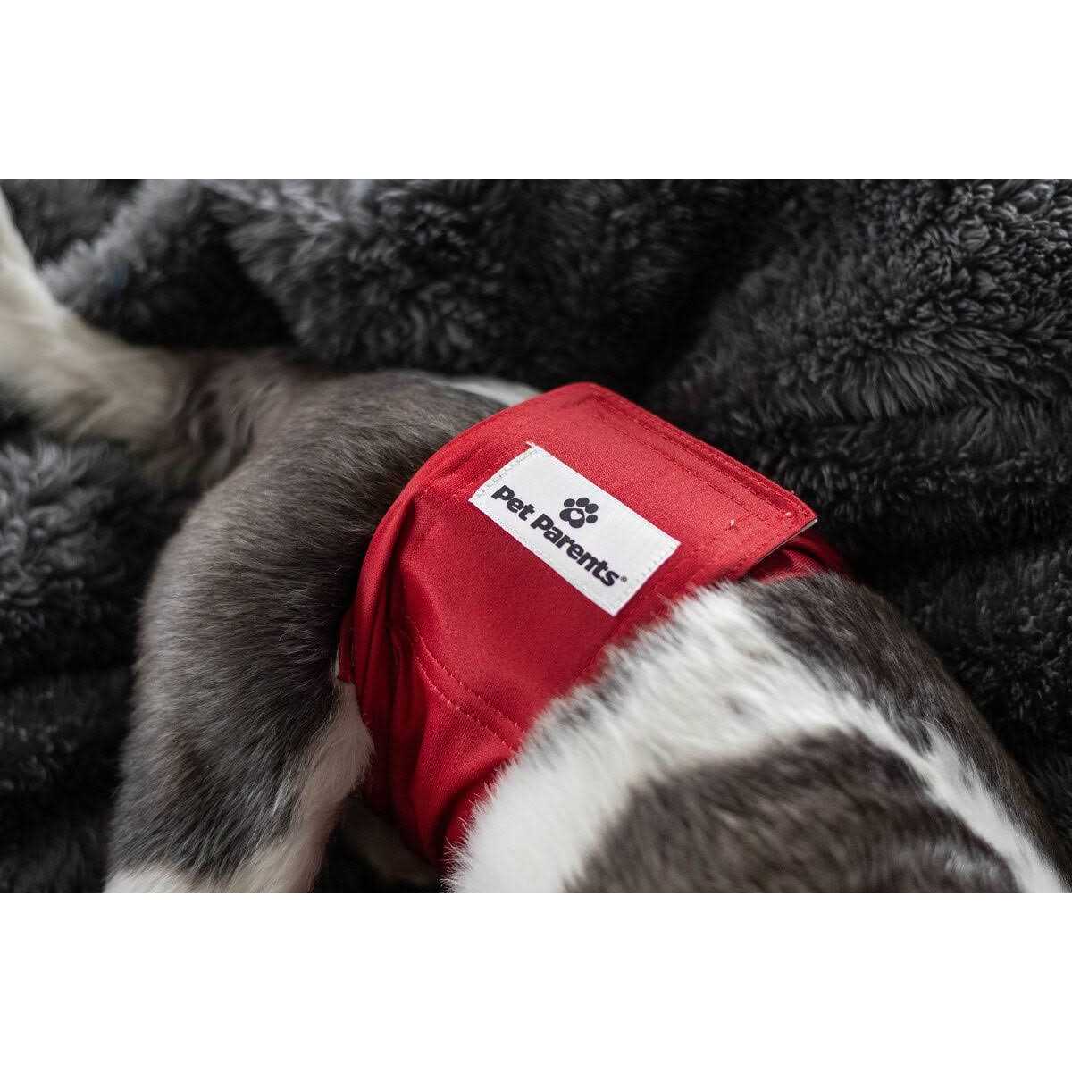Washable Dog Belly Bands K2942