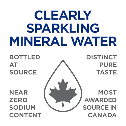 Clearly Canadian Mountain Blackberry Sparkling Water, 11 Fl Oz P8176
