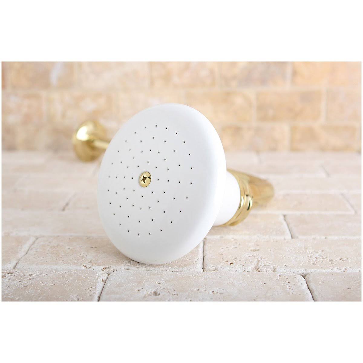 Polished Brass Shower Heads F620585