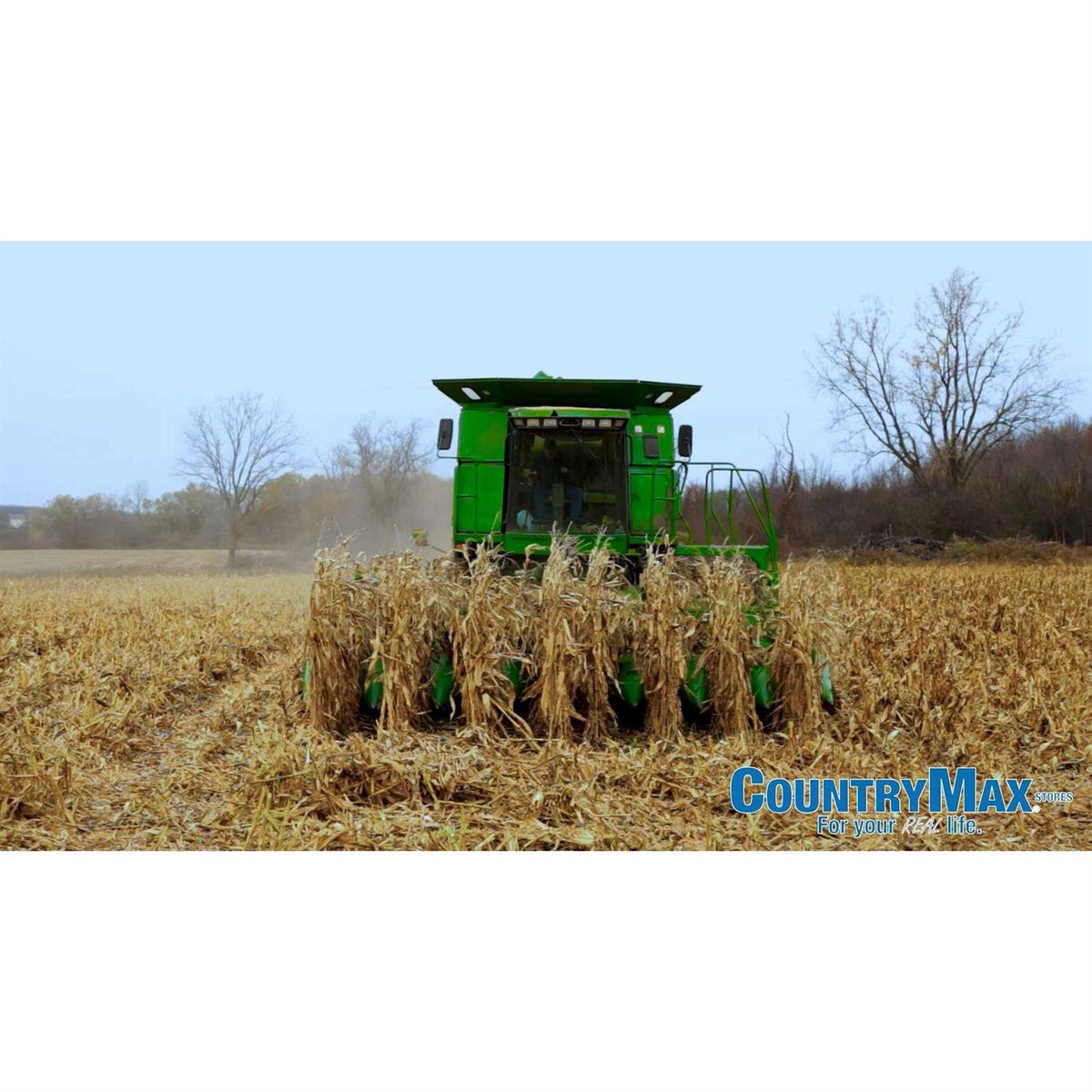 Whole Corn for Wildlife Feeding N1066