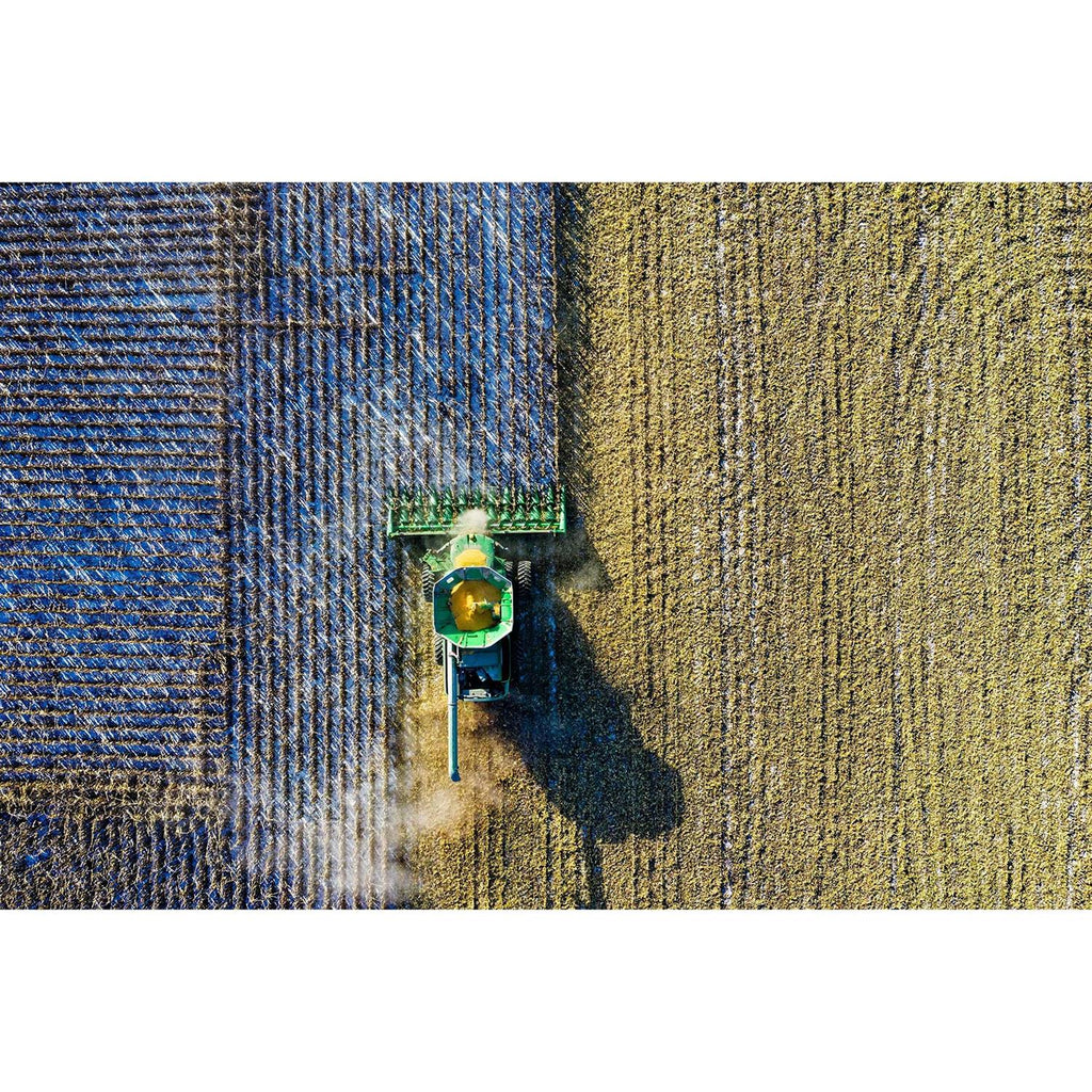 Whole Corn for Wildlife Feeding N1066