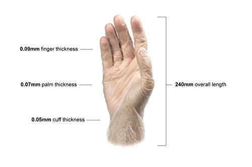 Clear Vinyl Exam Gloves, Extra-Large, Pack of 1000 F84984