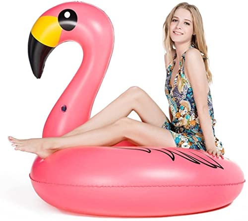 Inflatable Pool Floats 2 Pack P736191