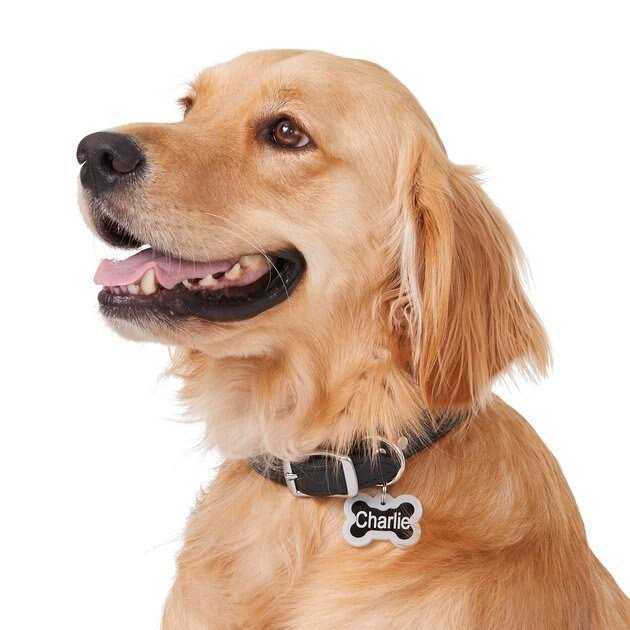 Anodized Aluminum Personalized Dog ID Tag M34977
