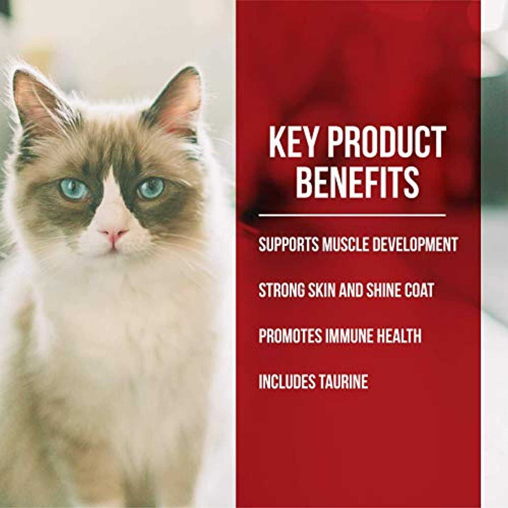 Dry Cat Food Chicken Turkey D5699