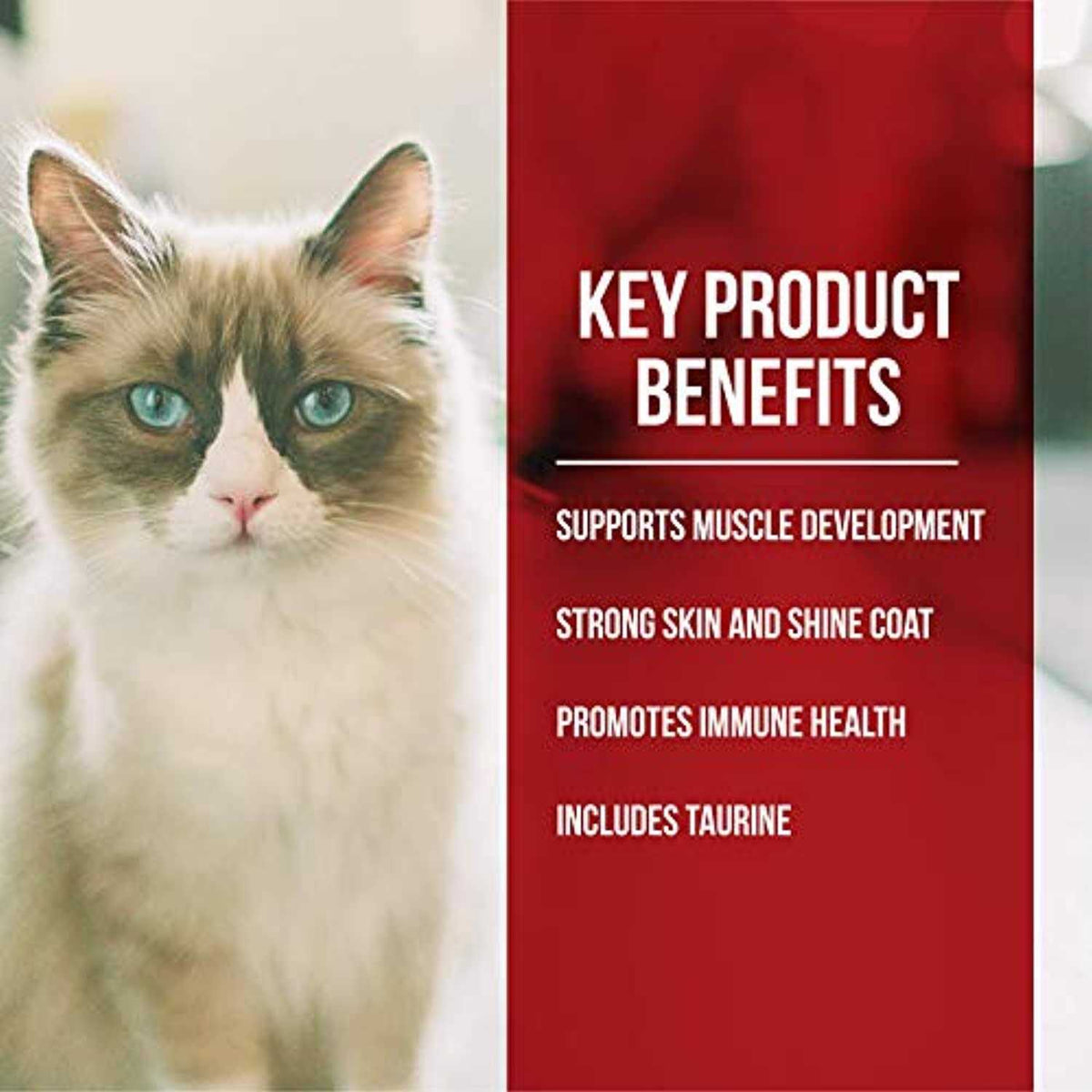 Dry Cat Food Chicken Turkey D5699