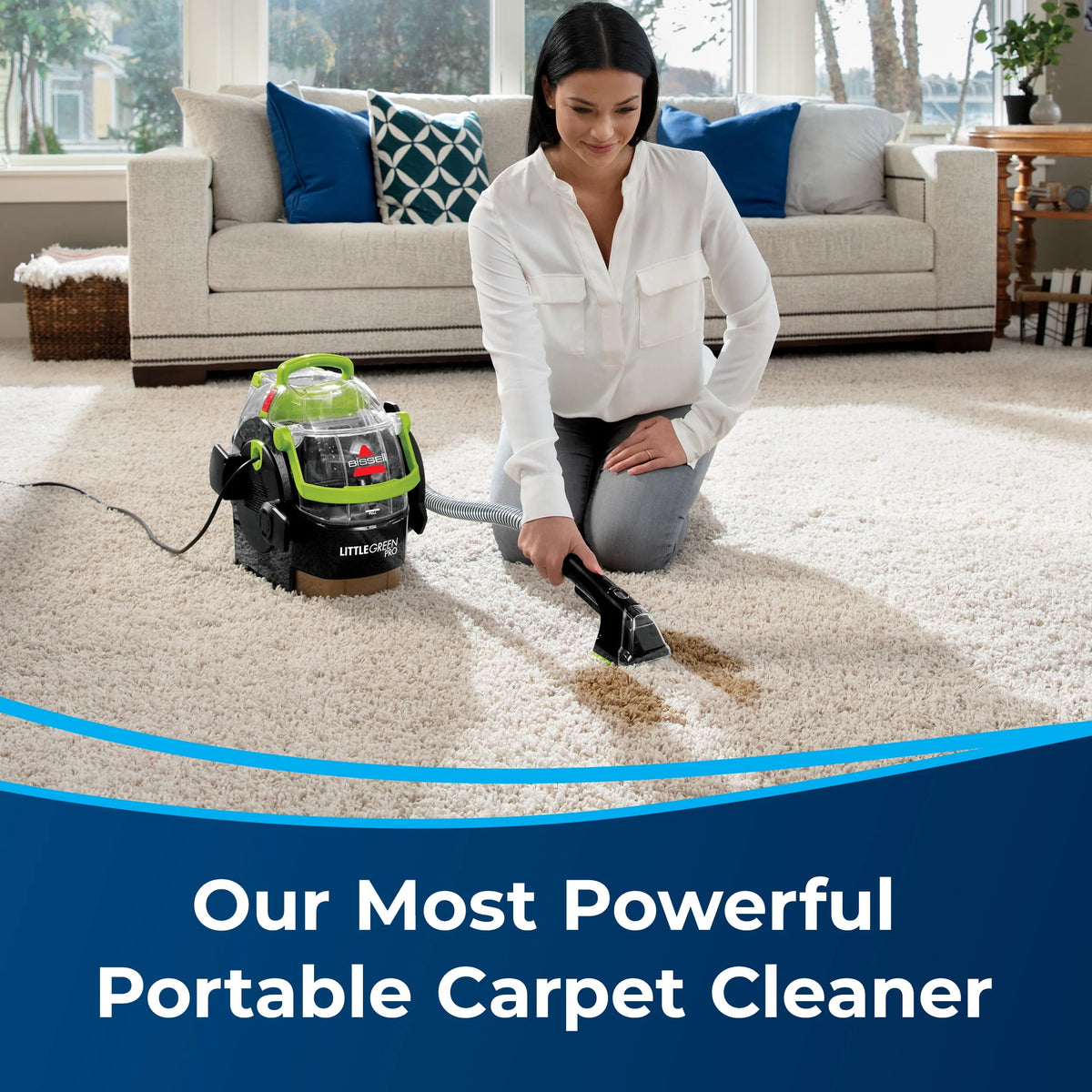 Portable Carpet Cleaner S572870