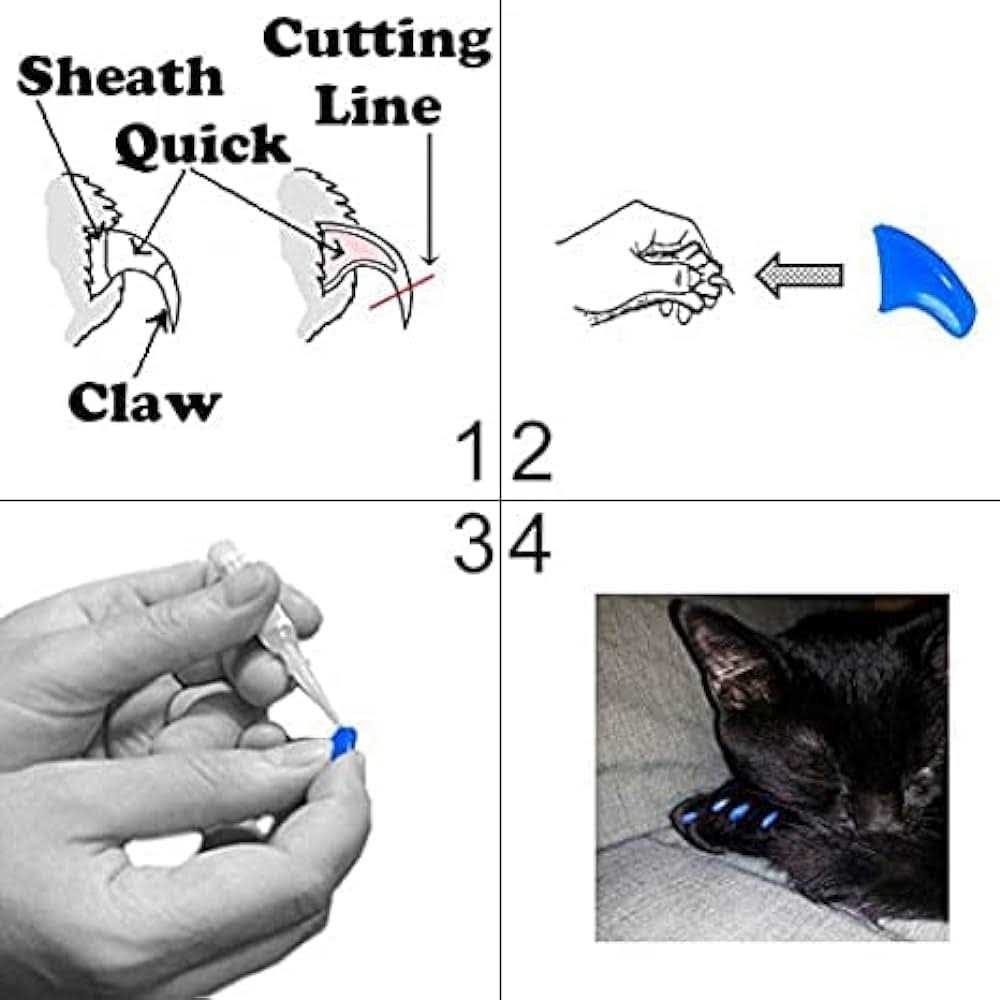 Soft Nail Caps for Cats F28854