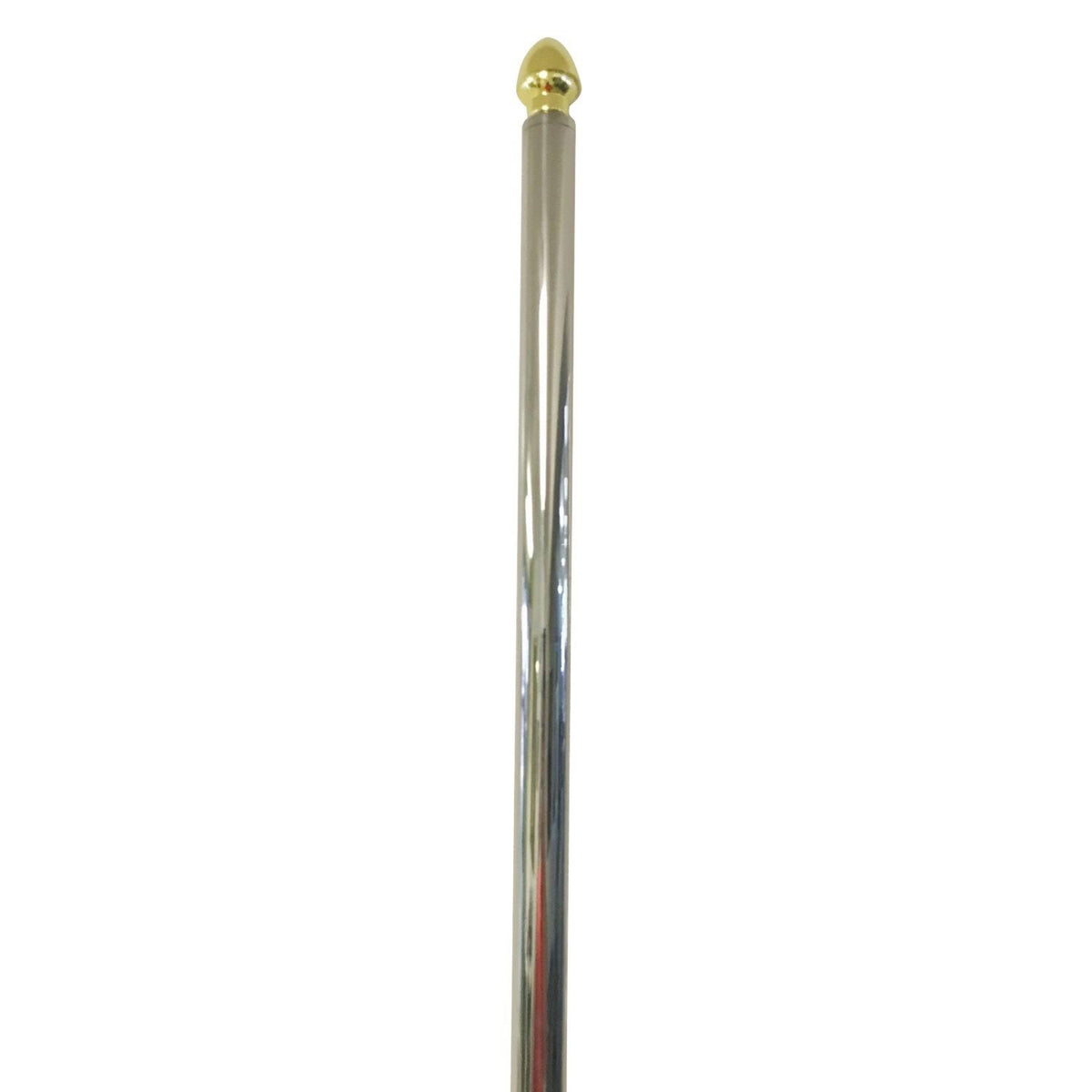 Heavy Duty Parade Flag Pole X697