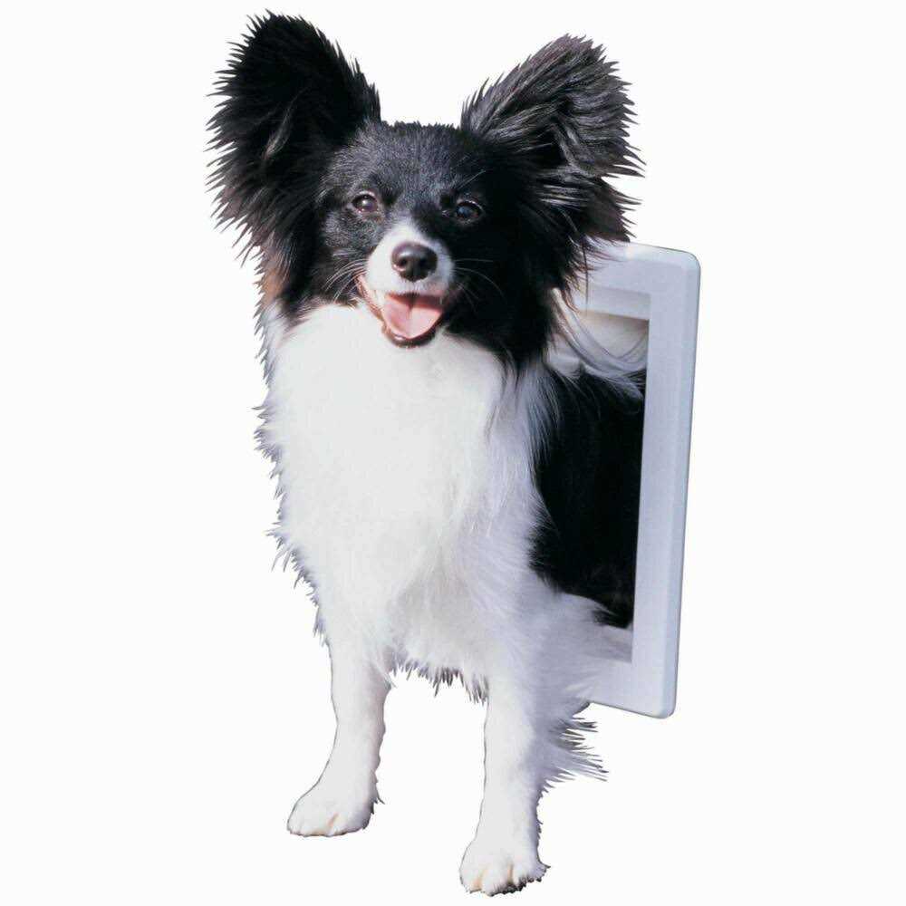 Aluminum Sash Pet Door H228193