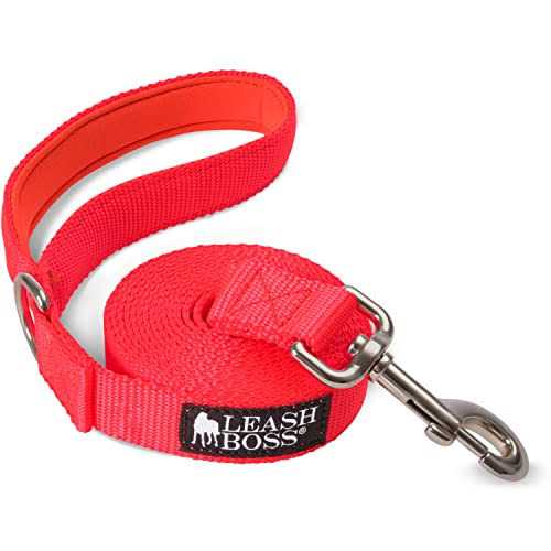 10 Foot Dog Leash with Padded Handle W247845