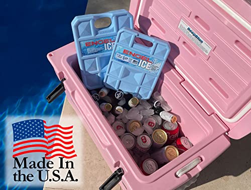 32°F Cooler & 5°F Freezer Packs Non-Toxic Ice Packs D2696
