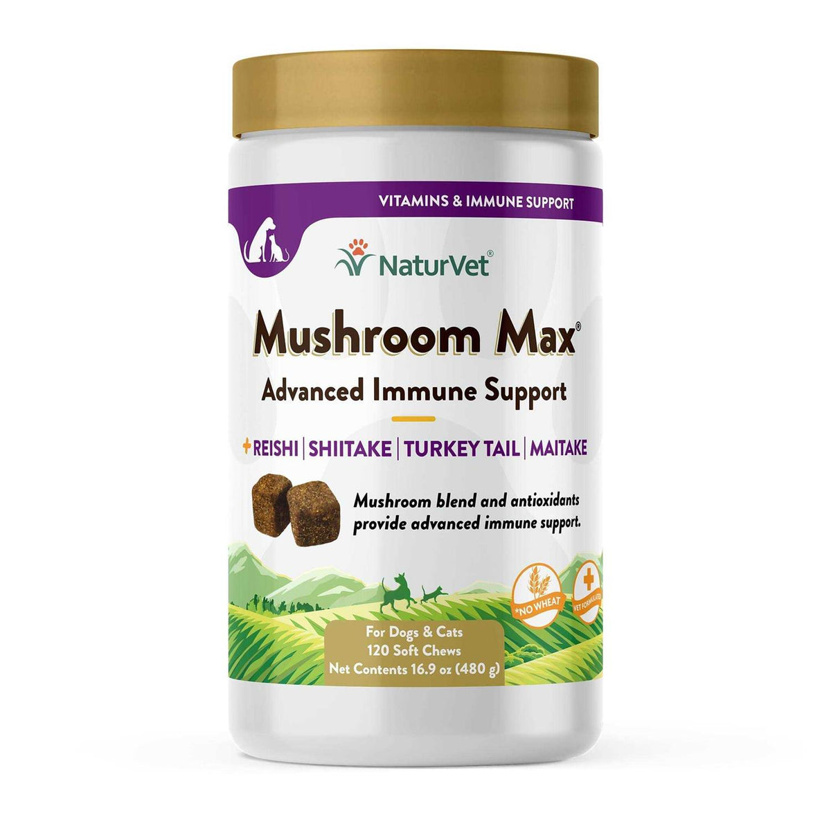 Mushroom Max Immune Support Soft Chews for Dogs & Cats G7109