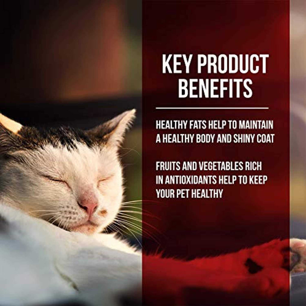 Dry Cat Food Chicken Turkey D5699