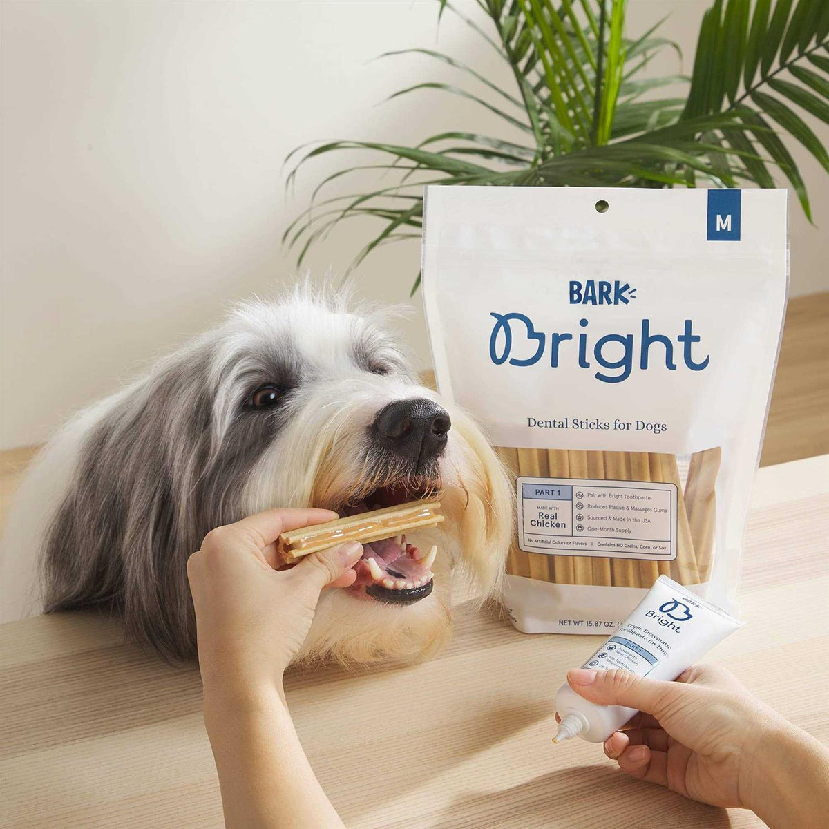 Dental Sticks for Large Dogs Chews V60868