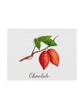 Canvas Art 35x47 Brown C92646