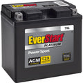 AGM Power Sport Battery Group Size T16L 12 Volt 260 CCA Y752550
