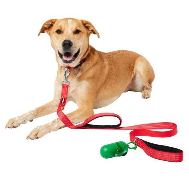 Traffic Leash with Dual Padded Handles & Poop Bag Dispenser S664