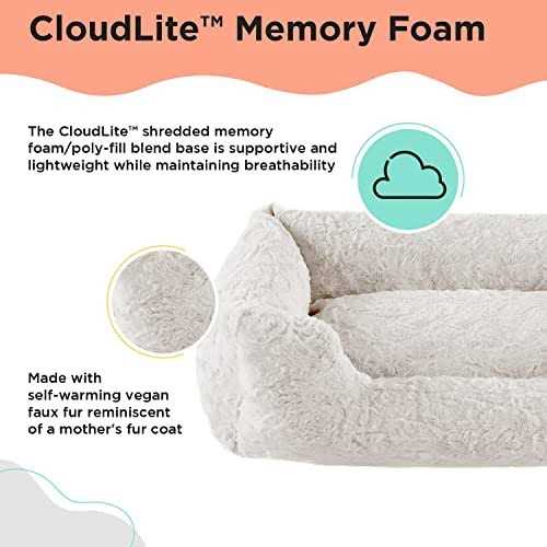 Rectangular Dog Bed C1551