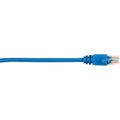 Blue 20-ft Cat5e Patch Cable 25-Pack M19058