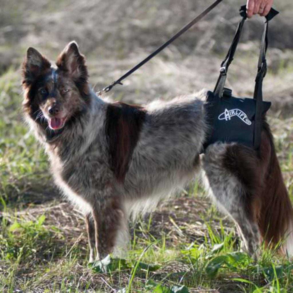 Support Harness W60700