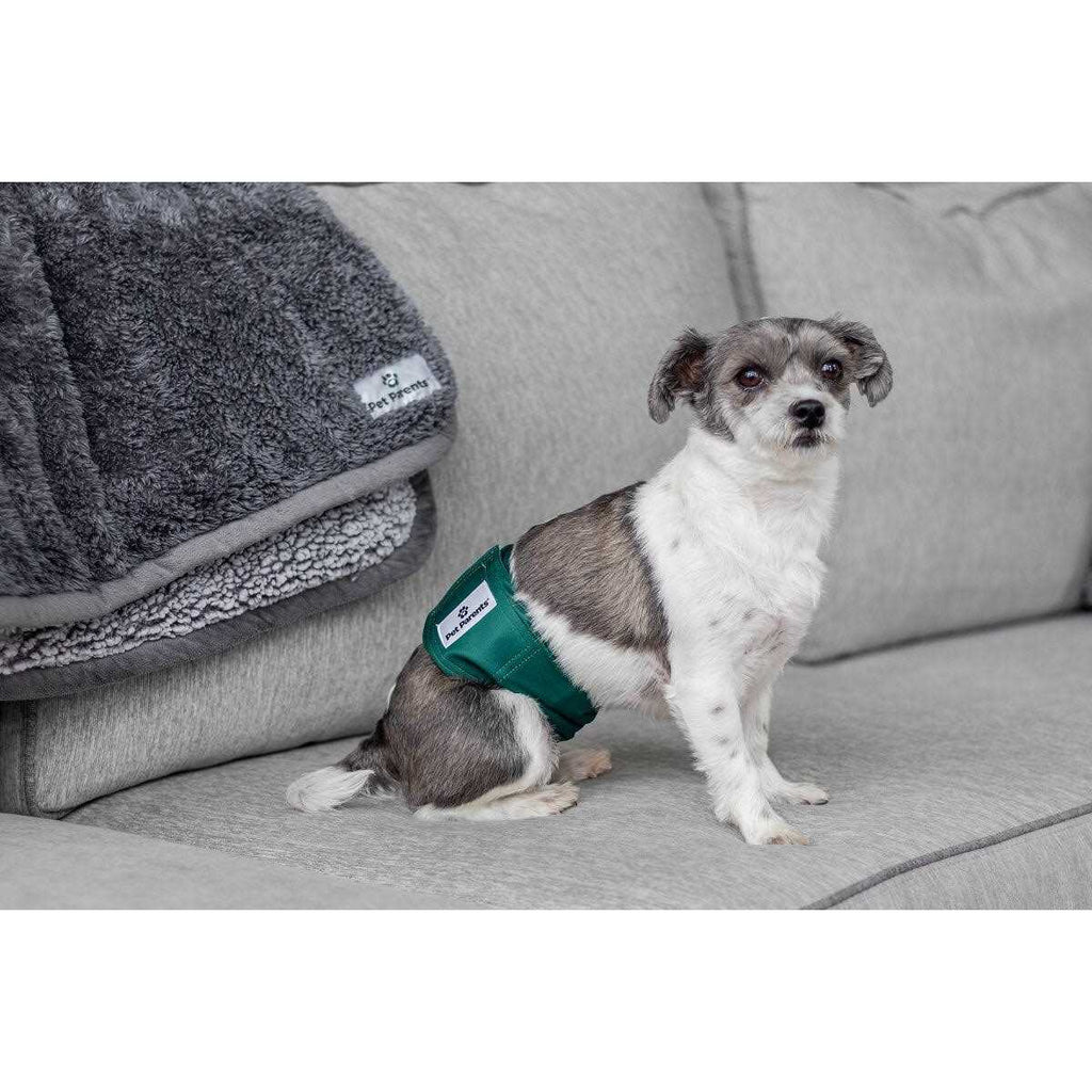 Washable Dog Belly Bands K2942
