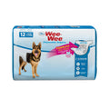Disposable Diapers C833281