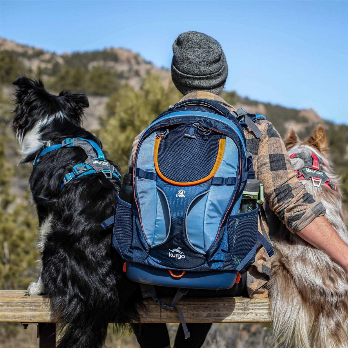 Dog Harness R636