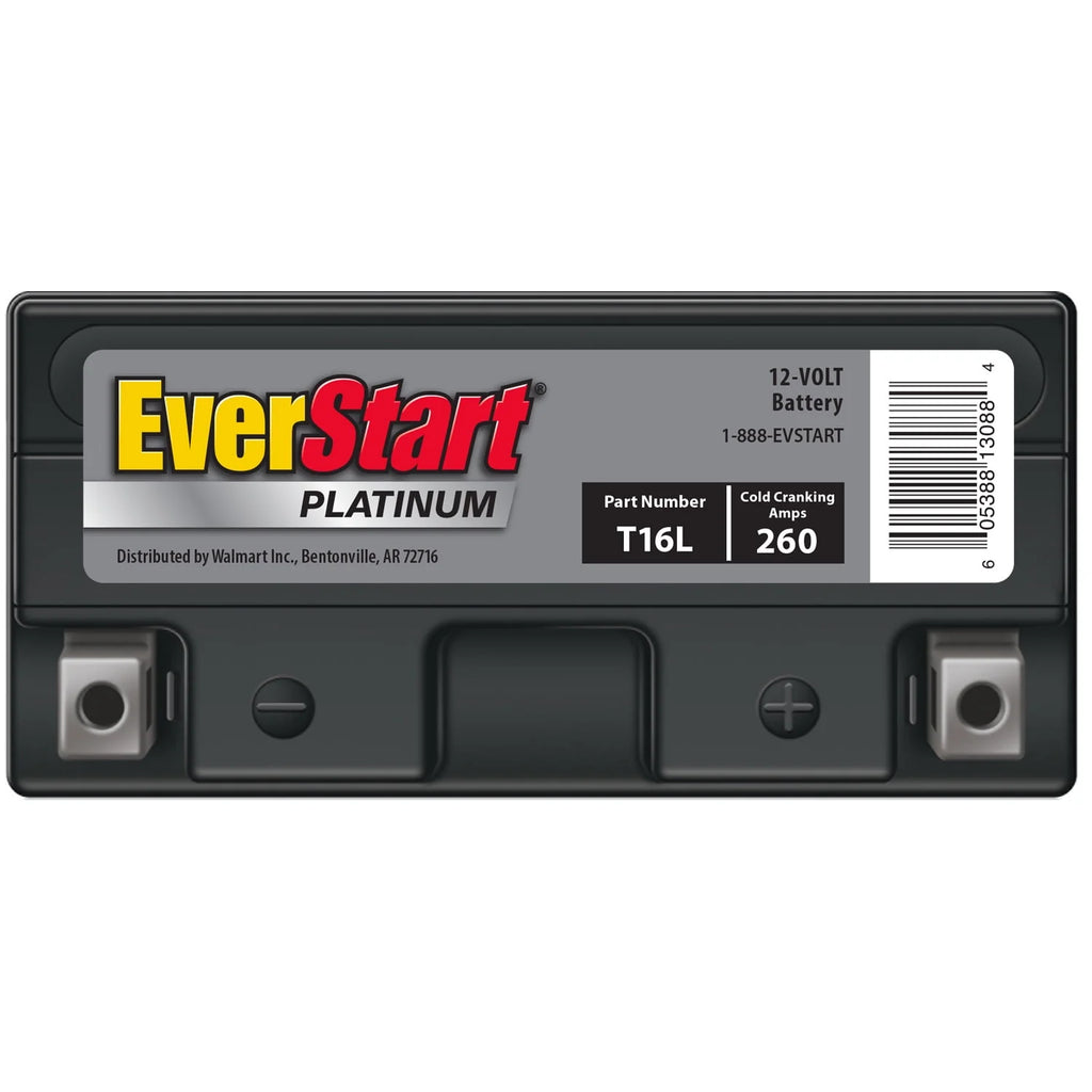 AGM Power Sport Battery Group Size T16L 12 Volt 260 CCA Y752550