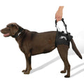 Support Harness W60700