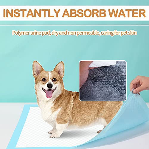 Black Charcoal Puppy Pads 10 Count D2842